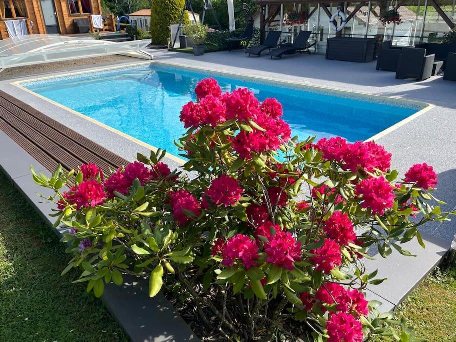 Chalet 2 Personnes Avec Jacuzzi Et Piscine Saisonniere Partagee Corcieux Esterno foto